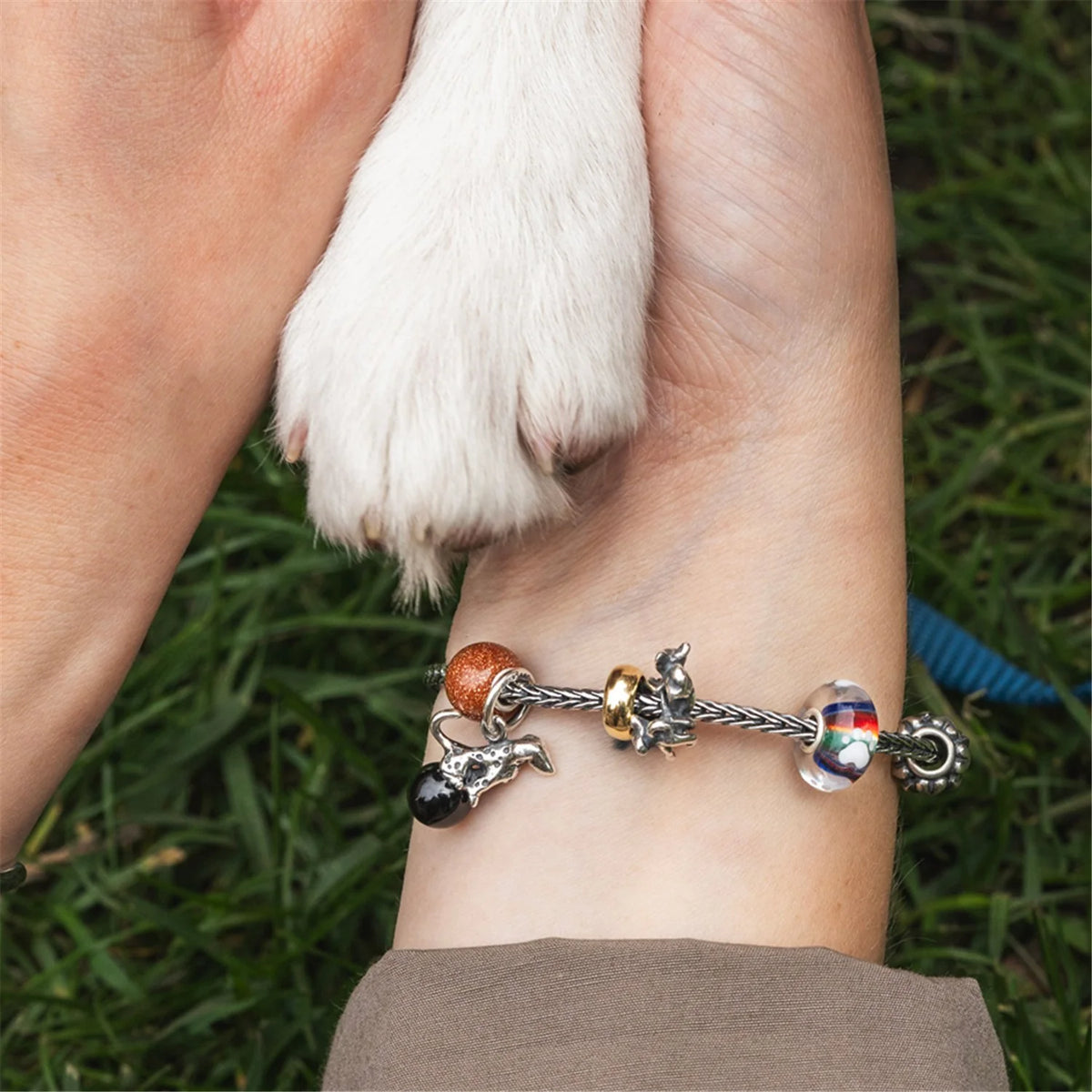 Beads Trollbeads - Compagno per la Vita - TGLBE-20387